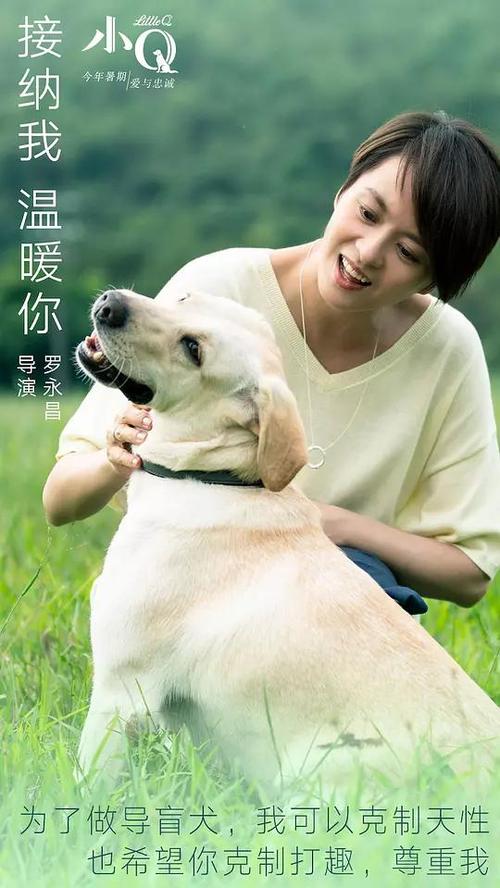 离婚证买房法律后果
